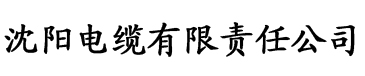 亚洲字幕一区二区三区久久久久久电缆厂logo